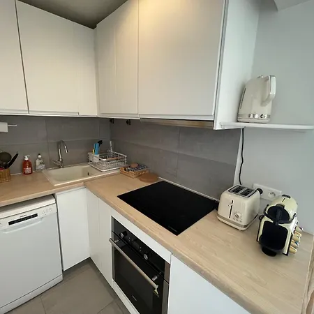 Climatise Face A Antibes, 3 Couchages, Parking, Proche Plages Et Commerces - Fr-1-789-3 *