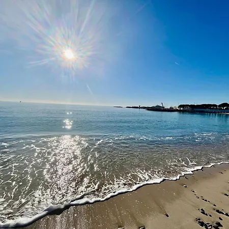 Climatise Face A Antibes, 3 Couchages, Parking, Proche Plages Et Commerces - Fr-1-789-3 Apartment *